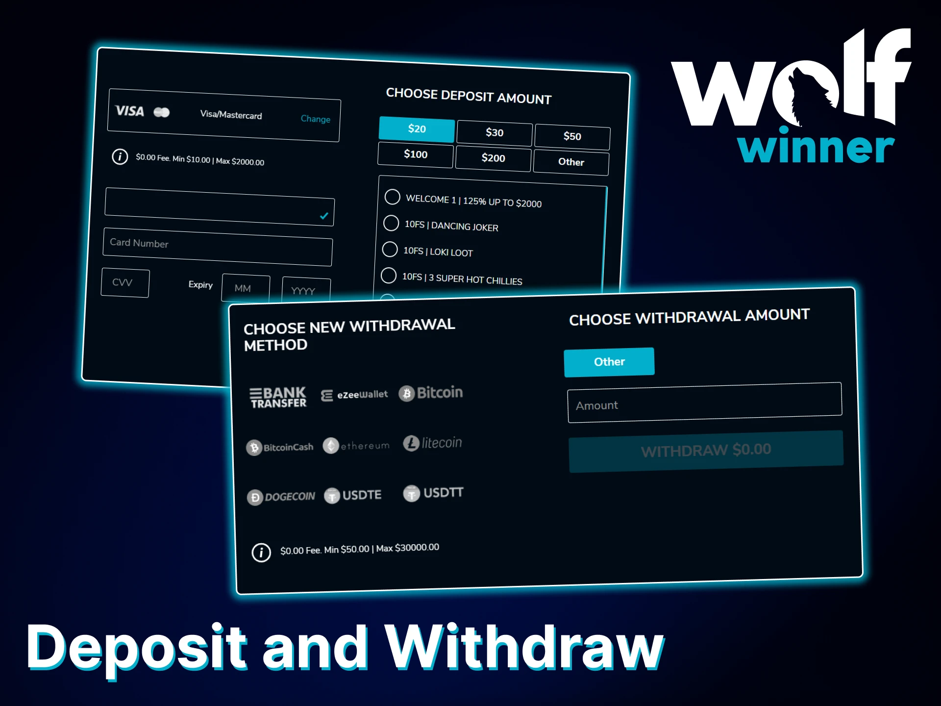Check out the ways to deposit and withdraw funds at Wolf Winner.