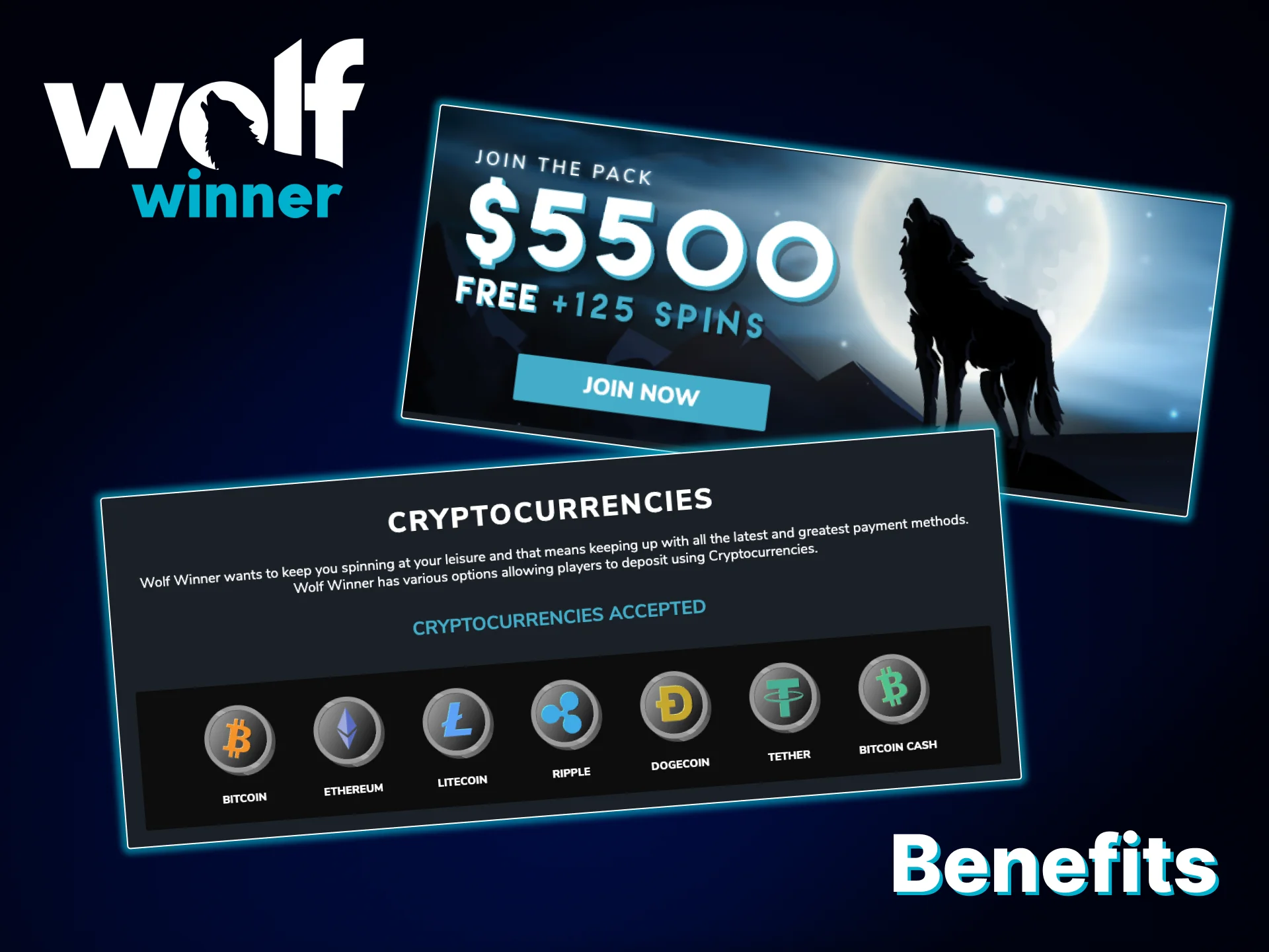 Learn about the main benefits of playing Live Casino games on the official Wolf Winner website.