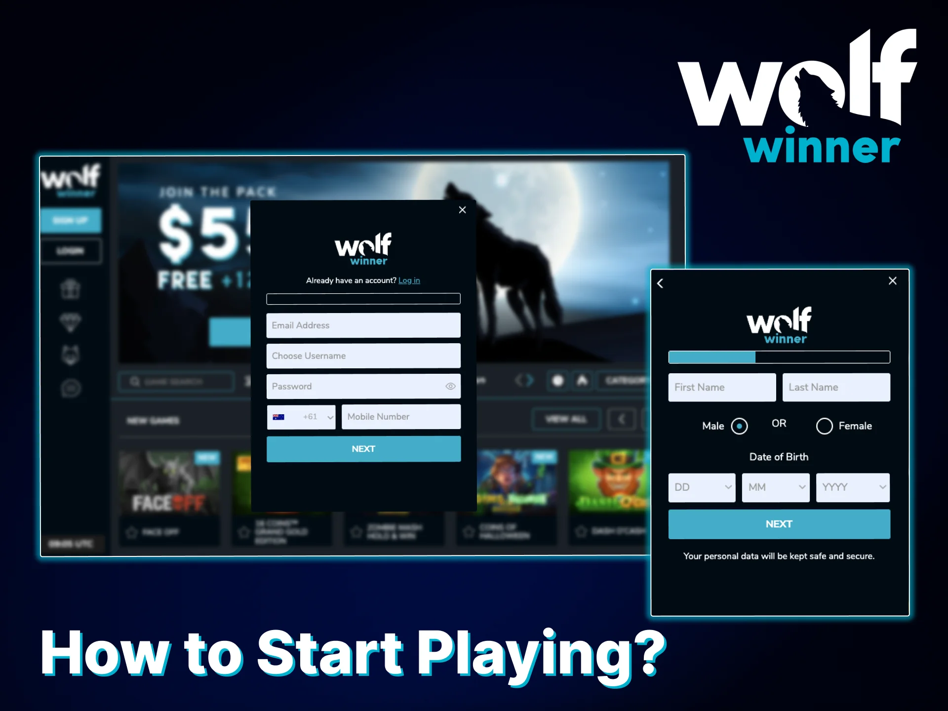 Take just a few simple steps and start playing Live Casino at Wolf Winner.